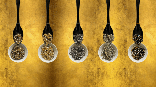 Illustration de cinq coupelles et cuillères présentant des grains de caviar de couleurs et tailles différentes.