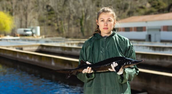 Professionnelle d’un élevage d’esturgeons tenant un esturgeon devant des bassins aquacoles.
