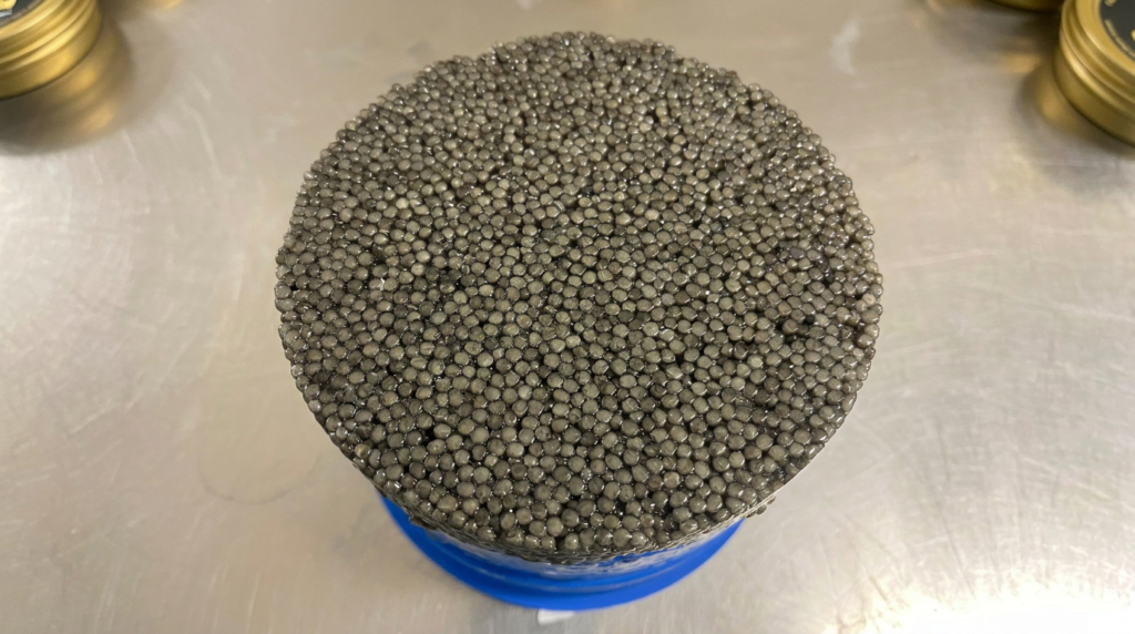 Caviar Beluga aux gros grains gris perle dans une boîte ouverte vue du dessus