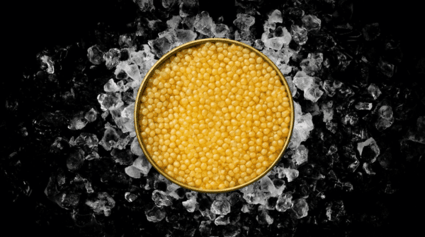 Boîte de caviar blanc Almas posée sur de la glace pilée sur fond noir.