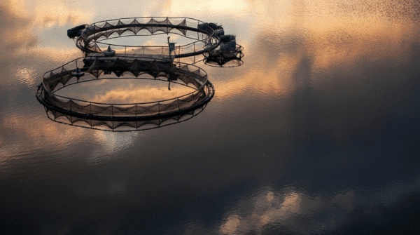 Bassins circulaires d’élevage aquacole installés sur une étendue d’eau au coucher du soleil.