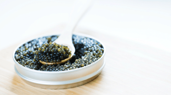 Boîte ouverte de caviar hybride avec une cuillère blanche garnie de grains vert-brun.