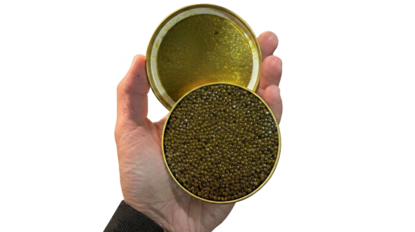 Boîte de caviar ouverte tenue en main, révélant des grains brillants et réguliers.