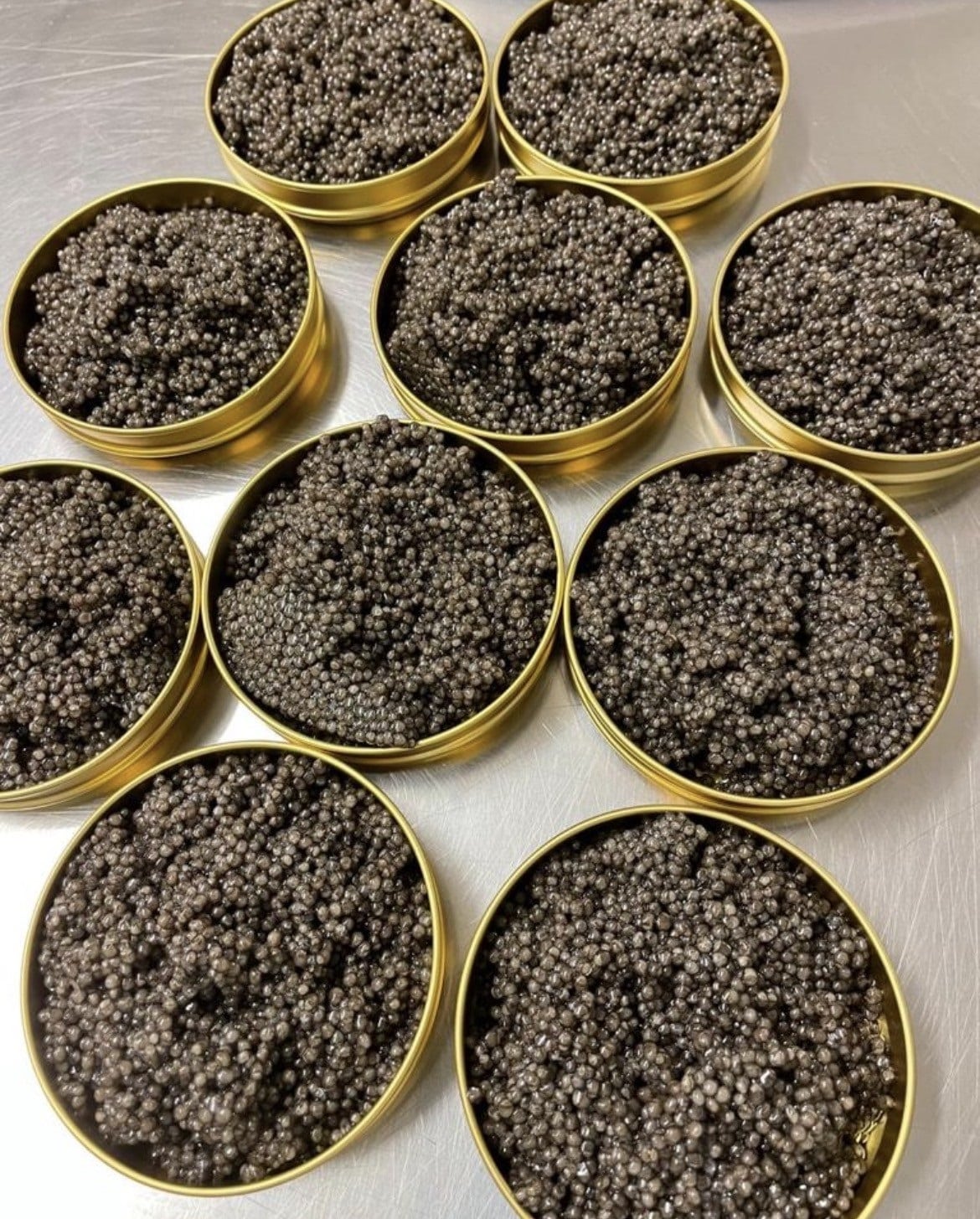 Plusieurs boîtes ouvertes de caviar Beluga d’Iran lors d’une sélection de lots chez Caviarly’s